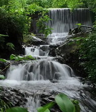 Riverside & Nature Spots
