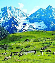 Sonamarg