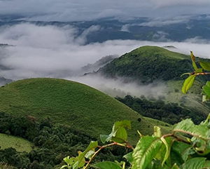 Coorg 